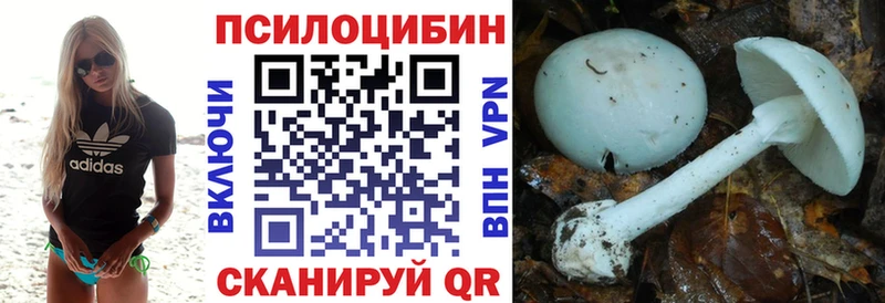 что такое наркотик Козловка Псилоцибиновые грибы Magic Shrooms